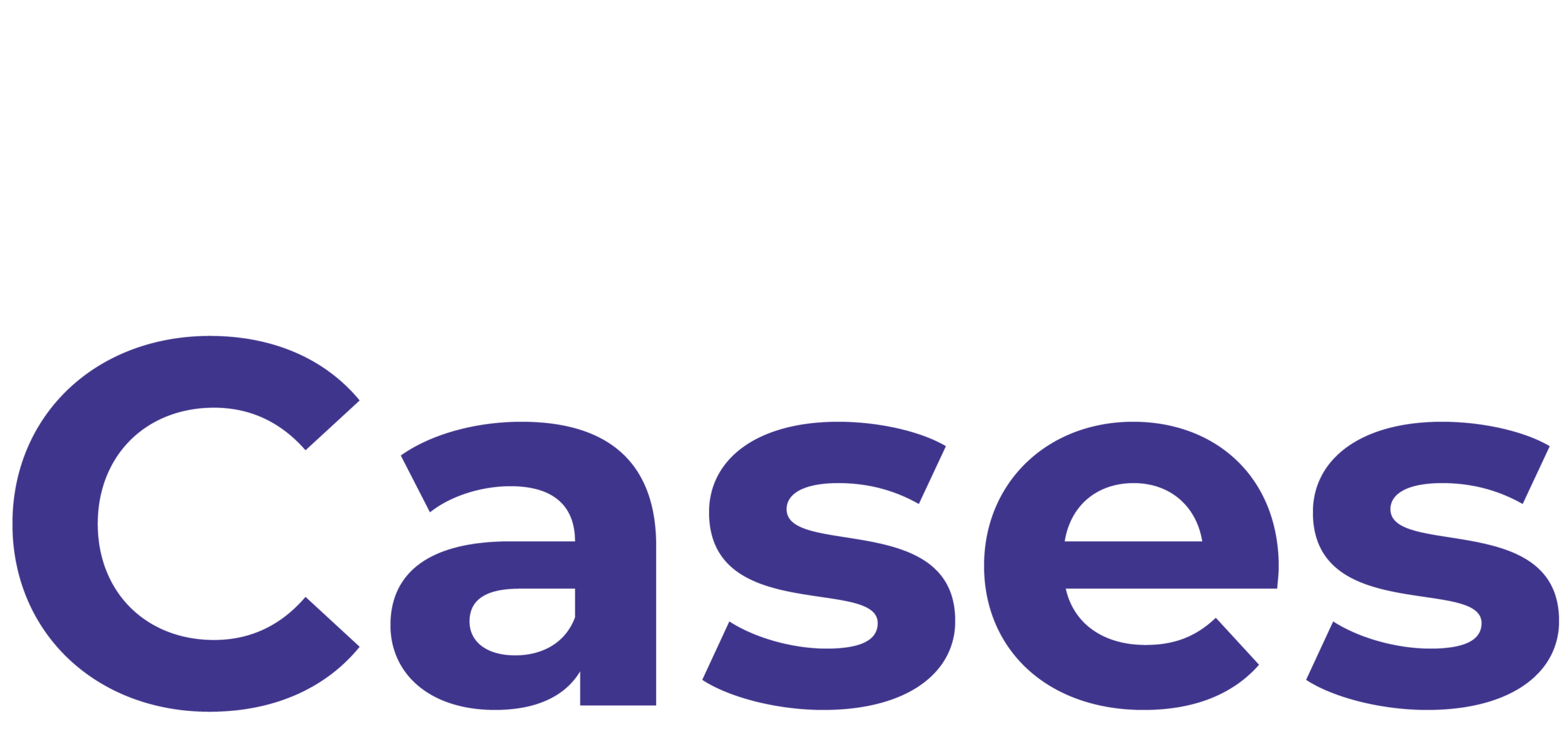 thecases.com.br